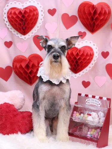 20240217銀次くん